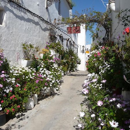 Vivienda Turistica De Alojamiento Rural Silla Vieja Vejer de la Frontera Ngoại thất bức ảnh