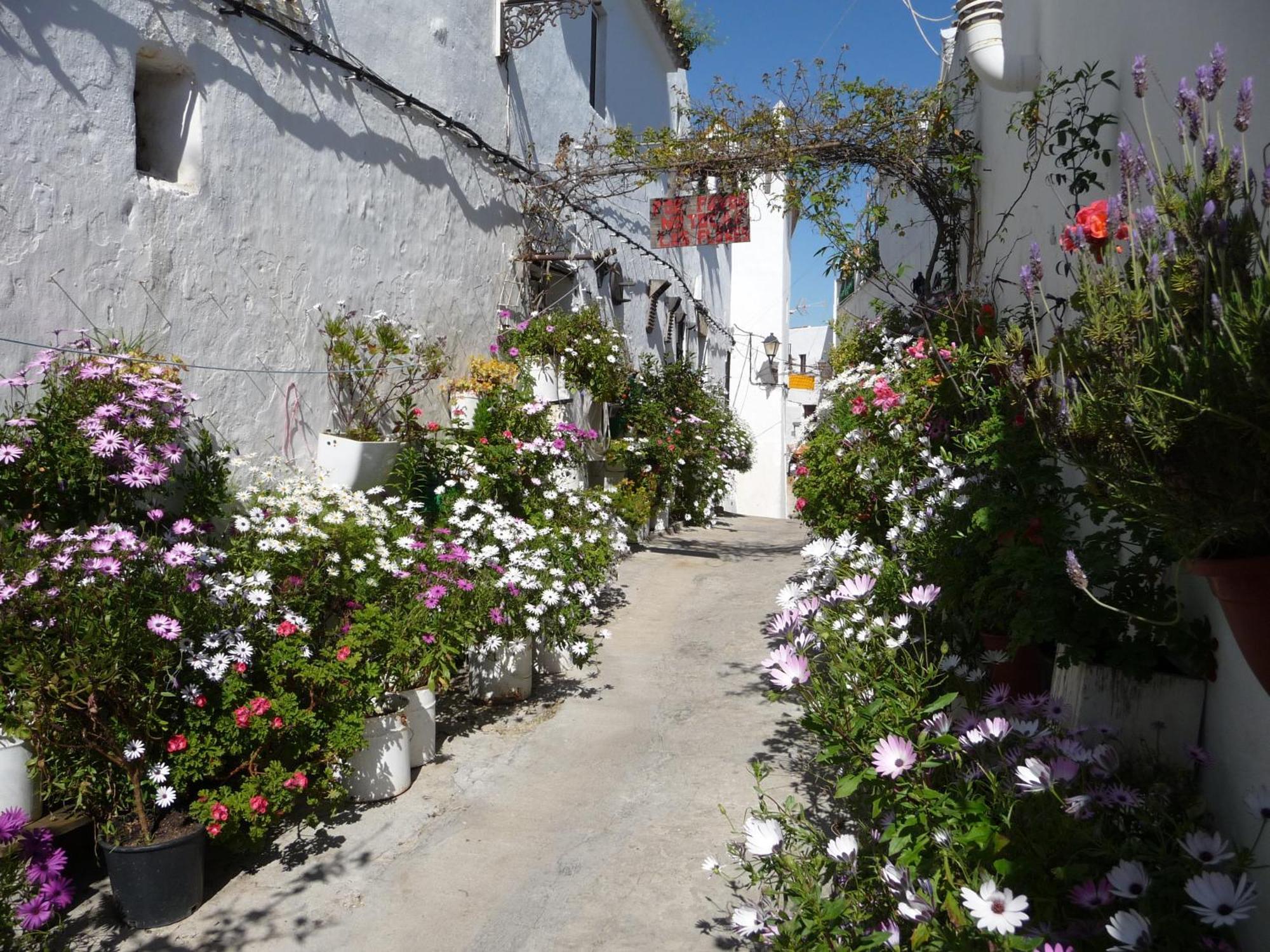 Vivienda Turistica De Alojamiento Rural Silla Vieja Vejer de la Frontera Ngoại thất bức ảnh