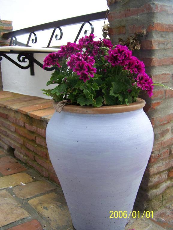 Vivienda Turistica De Alojamiento Rural Silla Vieja Vejer de la Frontera Ngoại thất bức ảnh